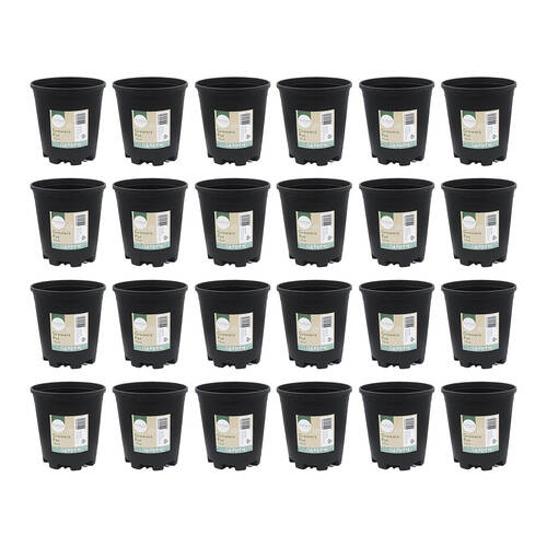 24PK Antheia Green Homewares 13cm Black Plastic Growers Pot