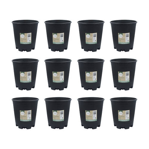 12PK Antheia Green Homewares 16cm Black Plastic Growers Pot