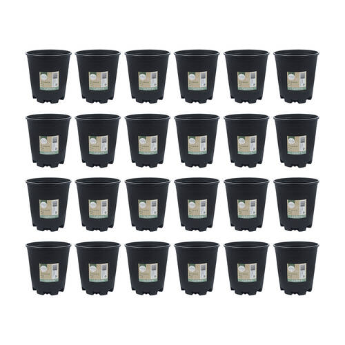 24PK Antheia Green Homewares 16cm Black Plastic Growers Pot