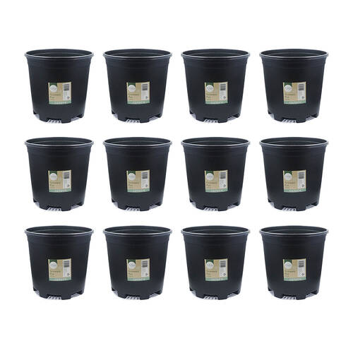 12PK Antheia Green Homewares Plastic Growers Pot Black 22cm