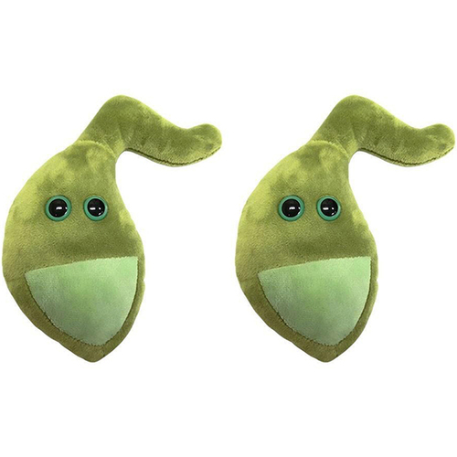 2PK Giant Microbe Gallbladder Soft Stuffed Plush Toy Green