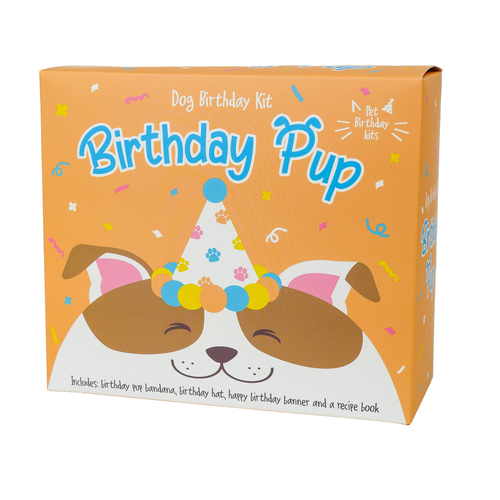 Gift Republic Puppy/Dog Birthday Celebration w/ Treat Recipe Book