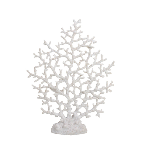 Maine & Crawford 7 Seas Large 39x16cm Fan Finger Coral - White