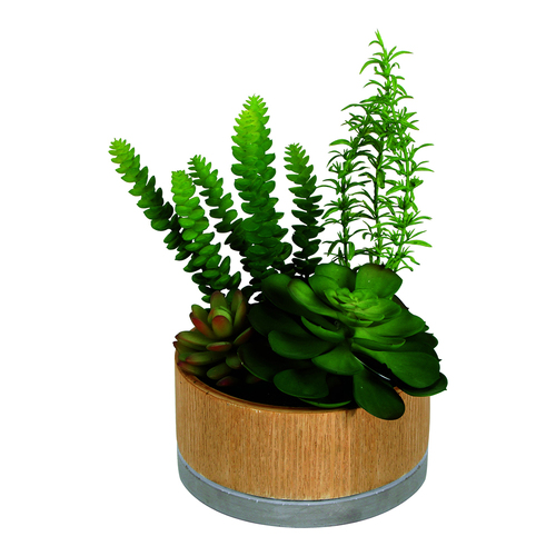 Maine & Crawford 16cm Sensi Succulents in Hex Pot Artificial Plant - Green