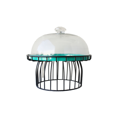 Darlin Aspen Cake Display Stand w/ Glass Dome Metal Black/Teal 27x12cm