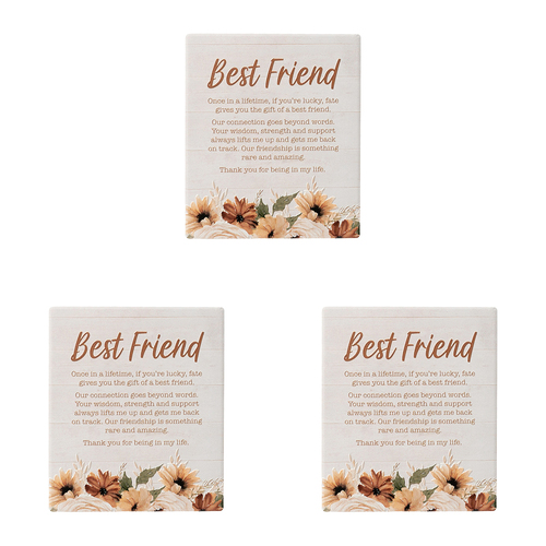 3PK Splosh Home Sweet Home Ceramic Best Friend Verse Plaque 14cm