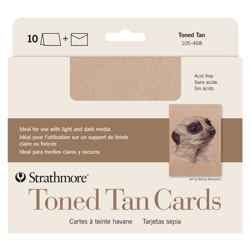 10pc Strathmore 400 Series Toned Arts And Craft Drawing Cards Tan