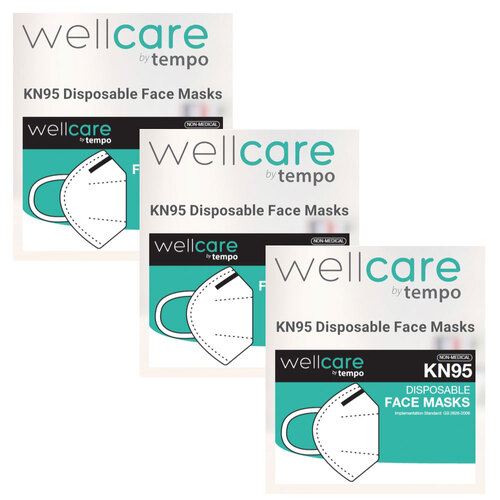 300pc Wellcare KN95 Disposable Face Masks