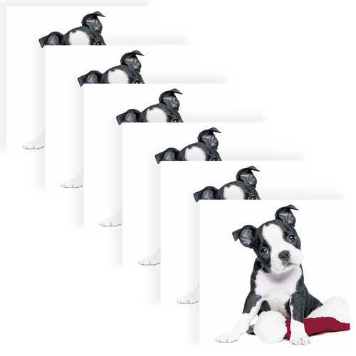 120pc Paper+Design Luncheon 3-Ply Napkin 33x33cm - Xmas Dog