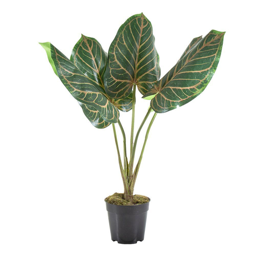 Belle Cordiform Leaf in Black Pot 60cm Artificial Plant - Green