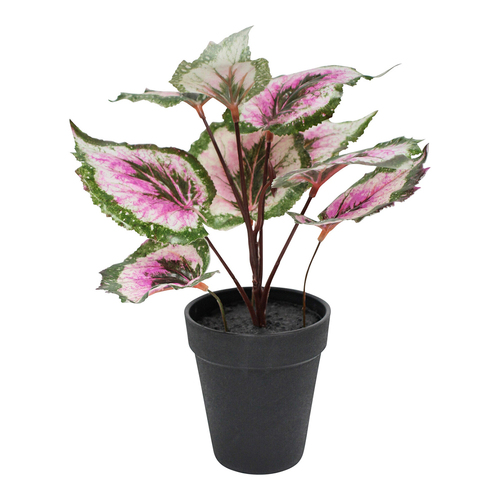LVD Potted 27cm Begonia Purple Faux/Fake Artificial Plant