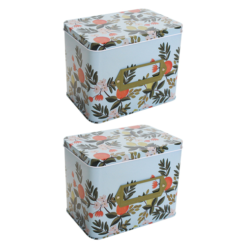 2PK LVD Citrus 16cm Metal Tin Home/Kitchen Decorative Canister