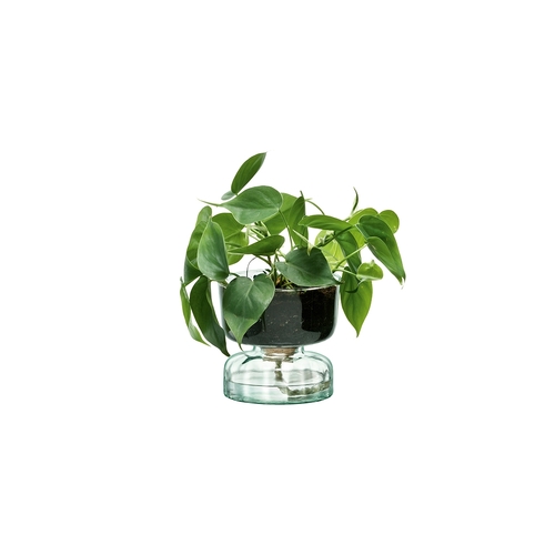 LSA International Canopy Enclosed Garden Self Watering Planter