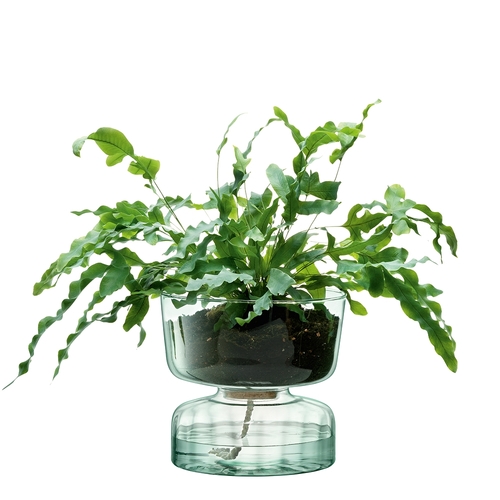 LSA International Canopy Enclosed Garden Self Watering Planter