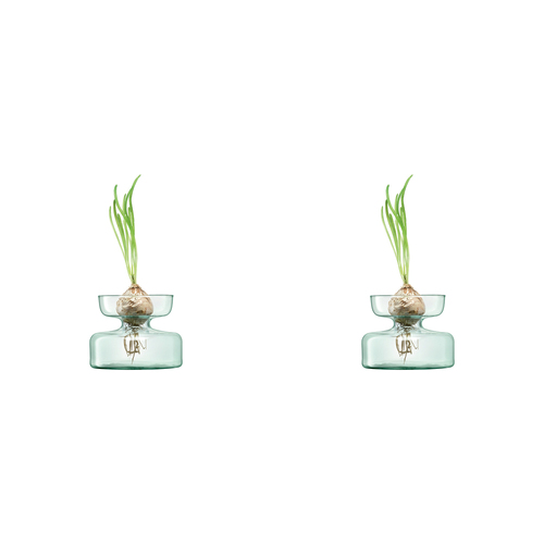 2PK LSA International Canopy Vase/Bulb Enclosed Garden Planter Clear 10cm