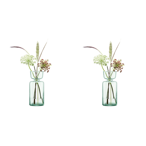 2PK LSA International Canopy Vase/Bulb Enclosed Garden Planter Clear 20cm