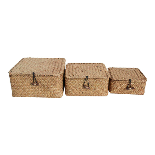 LVD 3pc Woven Straw 15/18/21cm Lidded Box Storage Set w/ Handle - Natural