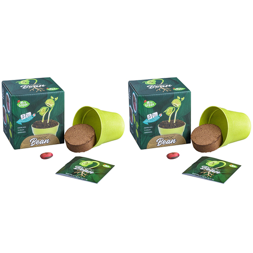 2PK Mrs Green Magic Beans Growing Plant Kids Toy - Assorted