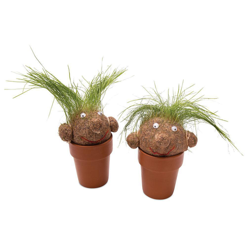 2PK Mrs Green Pot Head Kids/Children Grass Growing Plant