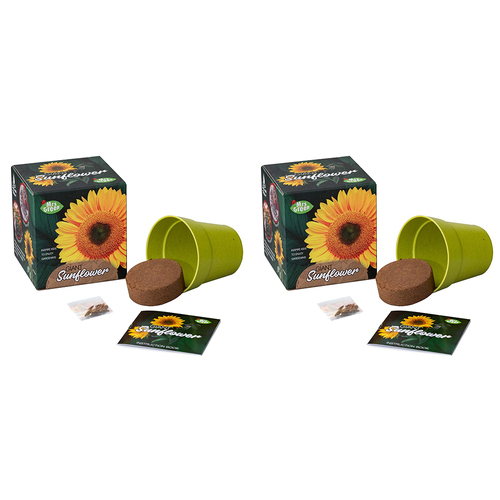 2PK Mrs Green Grow Your Own Giant Sunflower Growing Kit