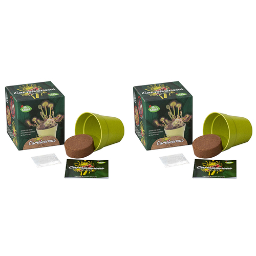 2PK Mrs Green Grow Your Own Carnivorous Plant Kids Growing Kit