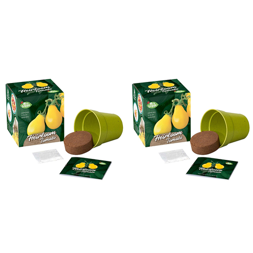 2PK Mrs Green Heirloom Tomato Yellow Pear Plant Seeds Grow Kit