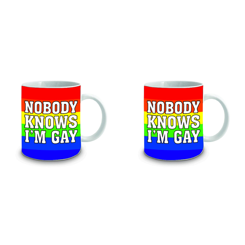 2PK Nobody Knows I Am Gay 360ml Ceramic Coffee/Tea Drink Mug w/ Handle