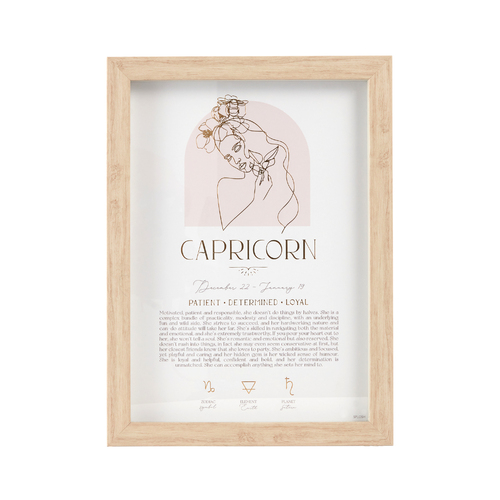 Splosh Mystique Framed Print Capricorn Standing/Hanging Decor 20x33cm