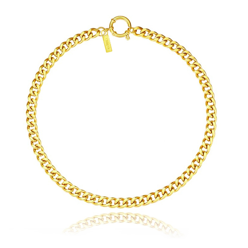 Culturesse Juno 43cm Stainless Steel Chain Necklace - Gold