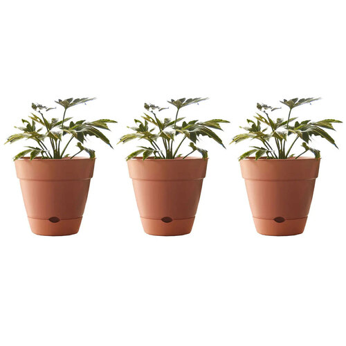 3PK Northcote Pottery Leonard 20x18cm Self Watering Brick