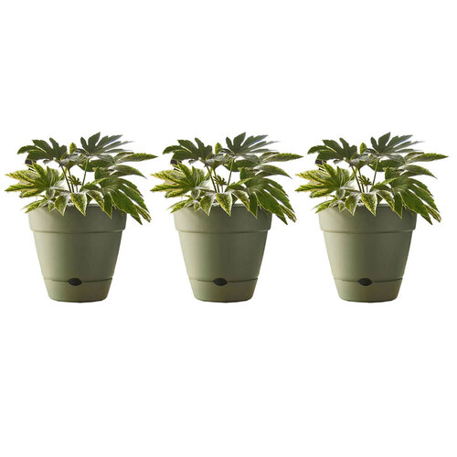 3PK Northcote Pottery Leonard 20x18cm Self Watering Green