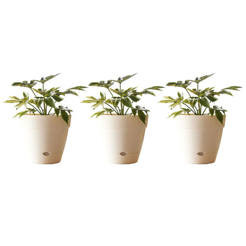 3PK Northcote Pottery Leonard 20x18cm Self Watering White