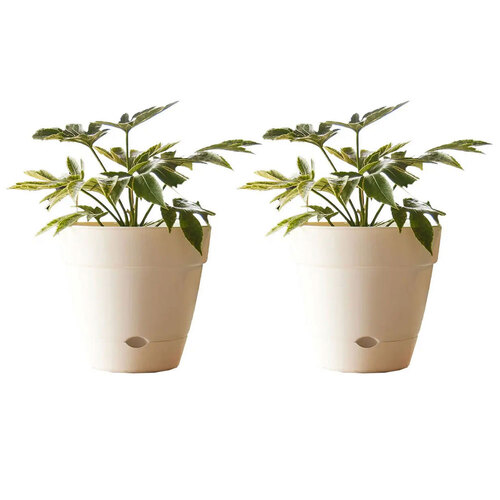 2PK Northcote Pottery Leonard 25x23cm Self Watering White