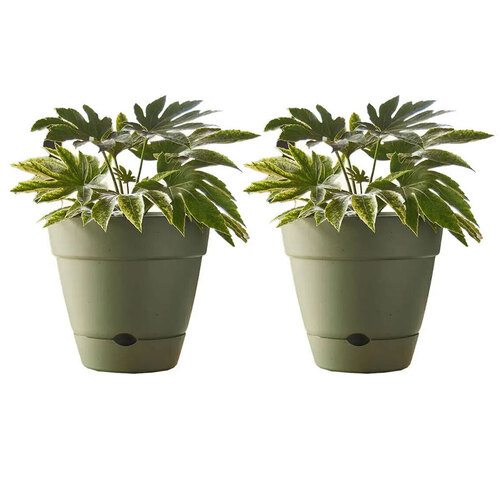 2PK Northcote Pottery Leonard 31x27cm Self Watering Green