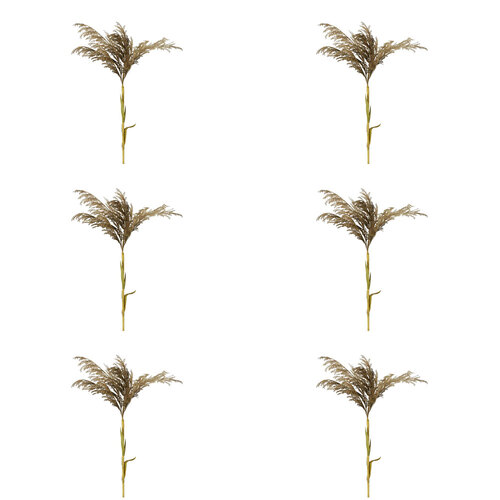 6PK Belle Grey Pampas Spray Stem Home Decor 127cm w/ Leaves