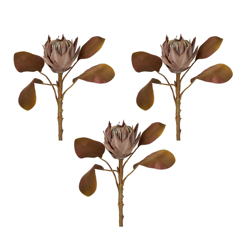 3PK Belle Dried Look Protea Stem Small 53cm Flower Decor - Brown