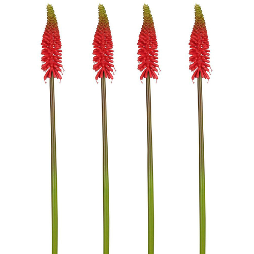 4PK Belle Red Hot Poker Stem 69cm Plastic Artificial Plant