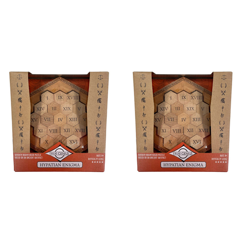 2PK Project Genius Hypatian Enigma Problem Solving Adult Puzzle 8+