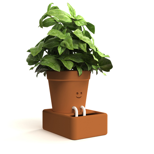 Pikkii Self Care Planter Herbs/Plant Pot Home/Garden Decor