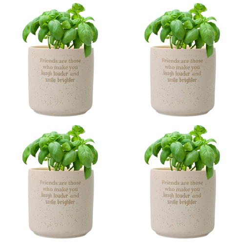 4PK Splosh Friends Positive Small Ceramic Pot Home Decor 10cm - Beige