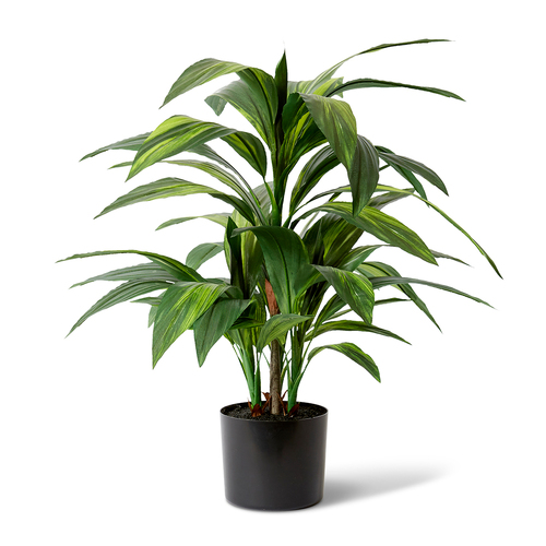 E Style Artificial Cordyline Plant Potted - 60 x 60 x 67cm