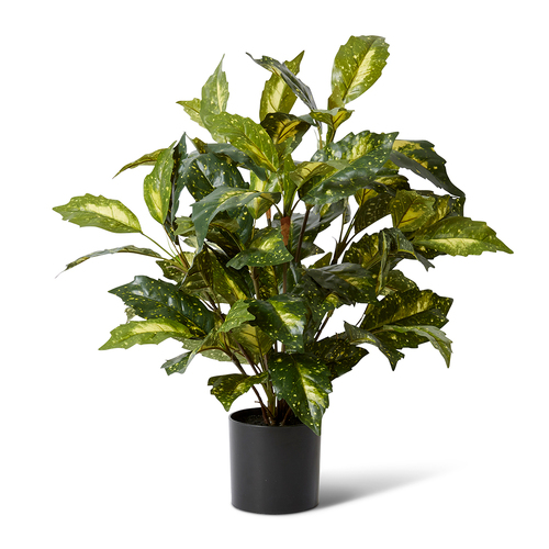 E Style Artificial Acuba Bush Potted - 52 x 52 x 64cm