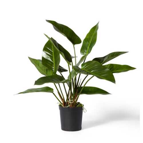 E Style 70cm Anthurium Deluxe Potted Artificial Plant Decor - Green