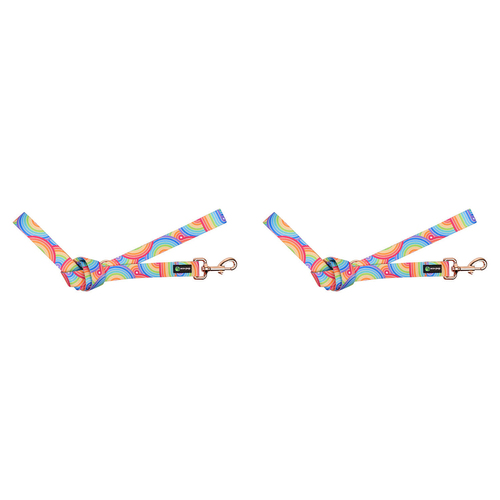 2PK Eco-Pup Dog Walking Lead/Leash 120cm Wide 25mm Rainbow 