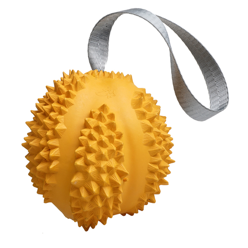 Petopia Ultra Tough 9cm Rubber Durable Durian Dog Toy Medium - Assorted