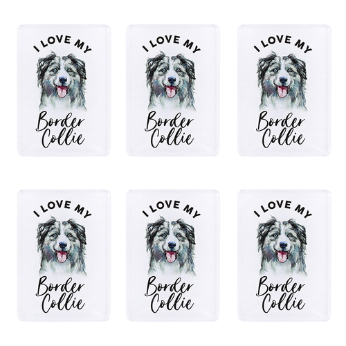 6PK Splosh Pet Lovers Border Collie Acrylic Magnet Decor 7x5cm