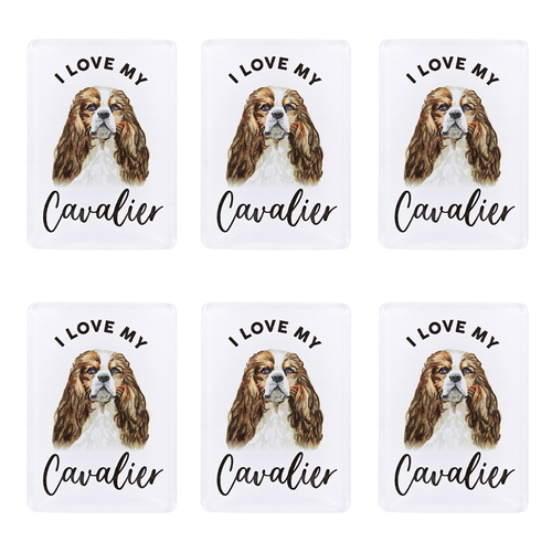 6PK Splosh Pet Lovers Cavalier Acrylic Magnet Decor 7x5cm