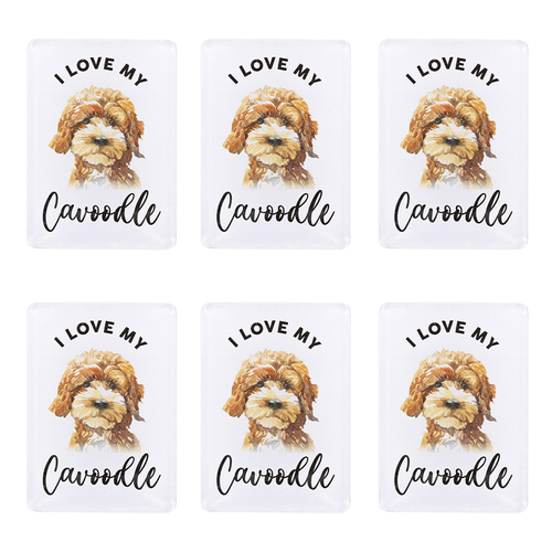 6PK Splosh Pet Lovers Cavoodle Acrylic Magnet Decor 7x5cm