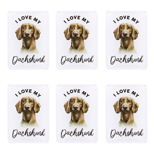 6PK Splosh Pet Lovers Dachshund Acrylic Magnet Decor 7x5cm