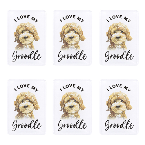 6PK Splosh Pet Lovers Groodle 7cm Acrylic Magnet Fridge Decor - White